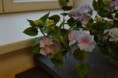 /album/fotogalerie-cukrove-ozdoby/a16998132-1331839610216389-5025630976893269020-n-jpg/