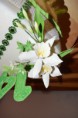 /album/fotogalerie-cukrove-ozdoby/dsc-0123-jpg/